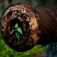 Nico Lupo - i'll Grow ft Chenai (Panda Fighters)..BBC 1xtra