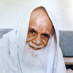 آية الله الشيخ محمد أمين زين الدين (قد)