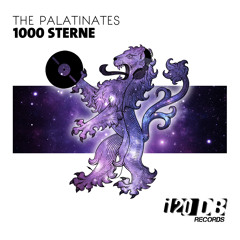 The Palatinates - 1000 Sterne (All Mixes Medley)