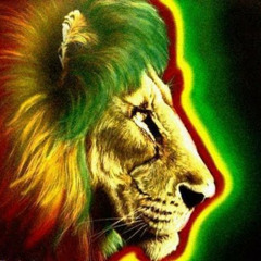 rude bwoy bass! the reggae dubstep mix