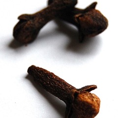 ,, Pata tjenkeh ''   ( FMJ -Amadeus -Modeste )  F. A .M