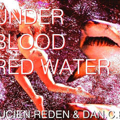 Lucien Reden & Dan C E Kresi - under blood red water