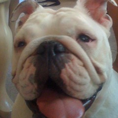 LCD Soundsystem - Yeah (retloc remix)