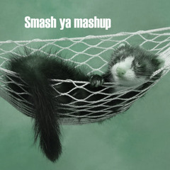 Smash ya mashup - Funk ferret vs Mobb deep vs Jungle brothers vs Beastie boys (redline refix)