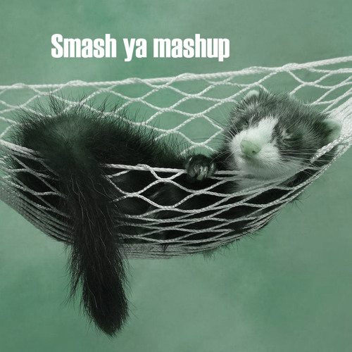 Smash ya mashup - Funk ferret vs Mobb deep vs Jungle brothers vs Beastie boys (redline refix)