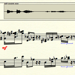 (the piece speaks) - material for "self-aware" (2011)