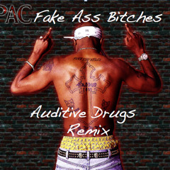 2pac - Fake ass Bithes ( Auditive Drugs remix )