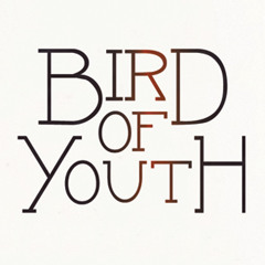 Bird of Youth - Self Control (Laura Branigan Cover)