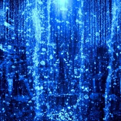 PERMACULTURA-- prema dhama deva stotram