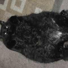 Radiohead Retakes (Go Slowly)