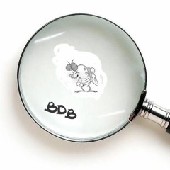 No Competition (Britt Dignan Band)