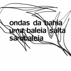 HAIKAI NI MIM (o nó)