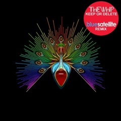 The Whip - Keep Or Delete (Blue Satellite Remix)