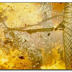 Tyson Willert - I Go What