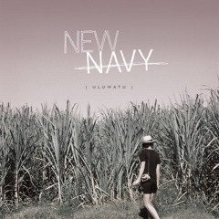 New Navy - What Was Golden