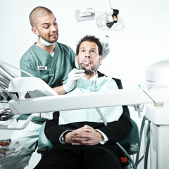 Darwin & Backwall - Showcase 011