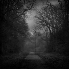 SOLITUDE FX _ promises we made (demo)