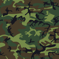 Camouflage (Original Mix) by DJ Stuff