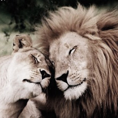 Smaritow_que me quiera de verdad