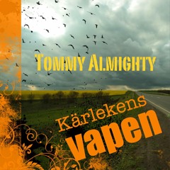 Försäkringskassan Anthem
