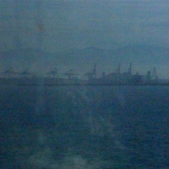 Through the Fog