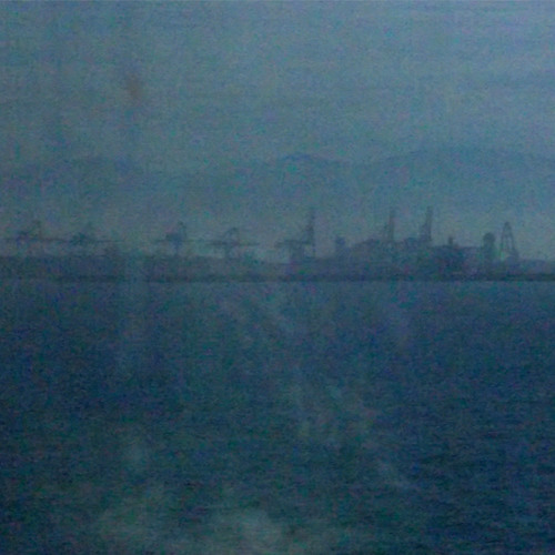 Through the Fog