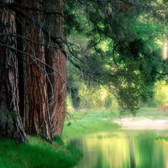 PERMACULTURA--- Si de mi en ti