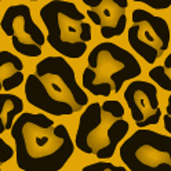 The Kleptones - War of Confusion