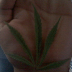 CIERRA TUS OJOS .Gorila Habitual y Akrata 2010