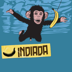Indiadamixtape#2