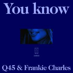 Q45 Feat Frankie Charles  - You Know (Saad Remix)