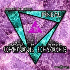 03-Pineal-Shamanita