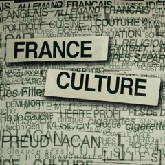 Arnaud Fleurent Didier - France Culture (Para One remix)