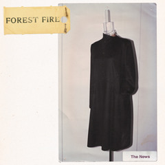 Forest Fire - The News