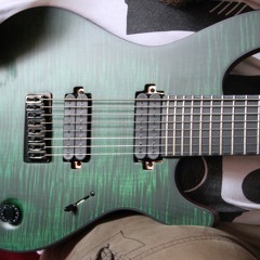 Mayones Regius 8 string guitar & Jabba 5 string bass test.