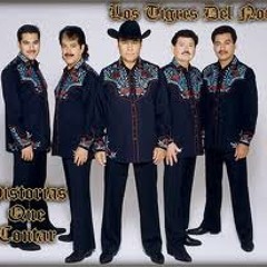 TRIGRES  VALLARTA 02