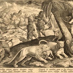 lions hid indians