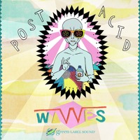 Wavves - Post Acid
