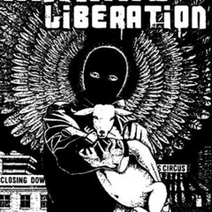 REPRISAL - War for Refoundation