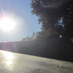 CLAY WHEELS  Vagabond Crusoe