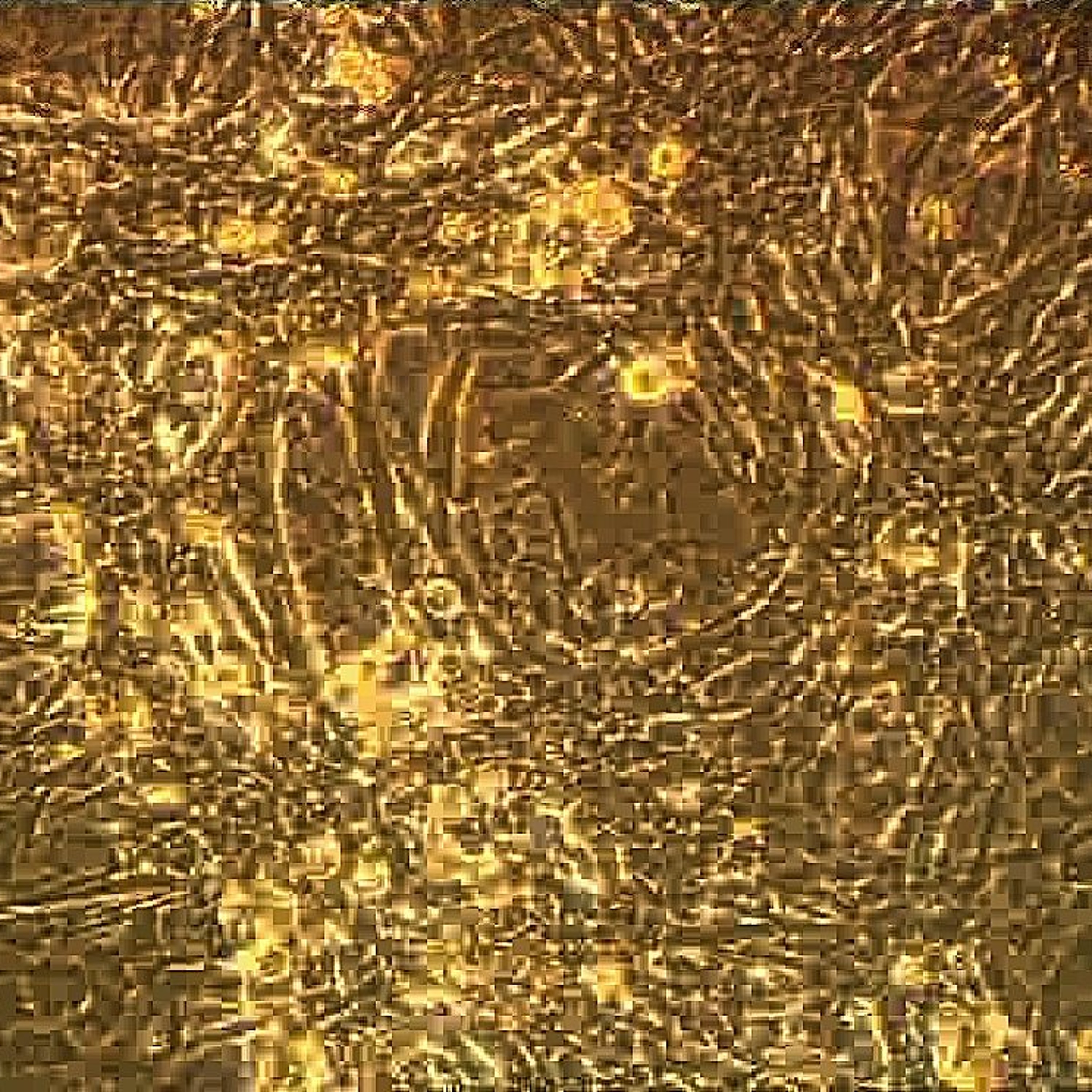 Using stem cells from the womb: Dr Paolo De Coppi & Dr Anna David episode artwork