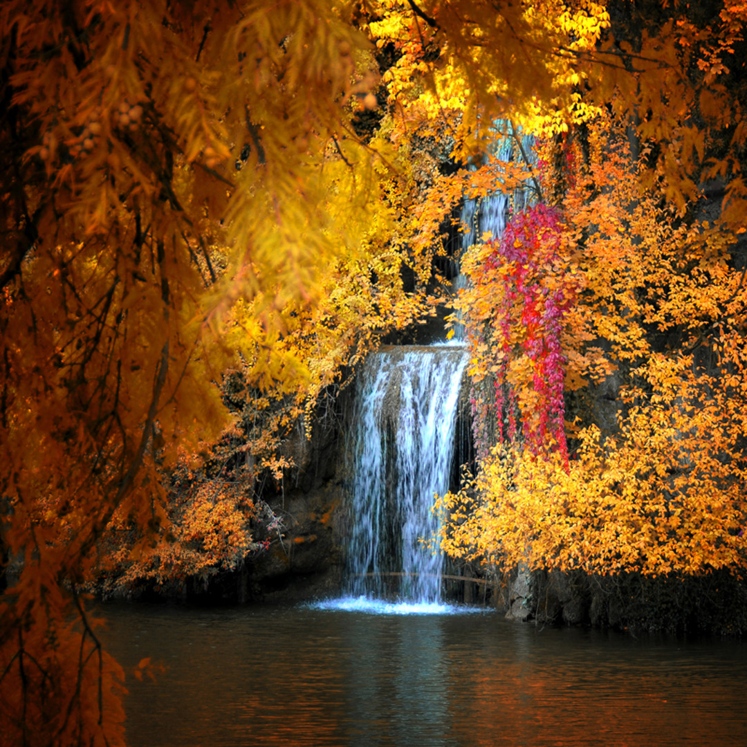AutumnFall