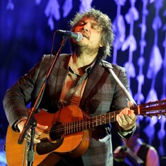 Bull Black Nova - Wilco (live)