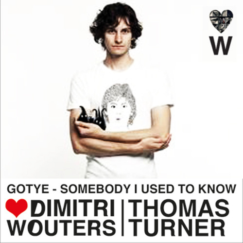 gotye somebody that i used to know dalszöveg 5