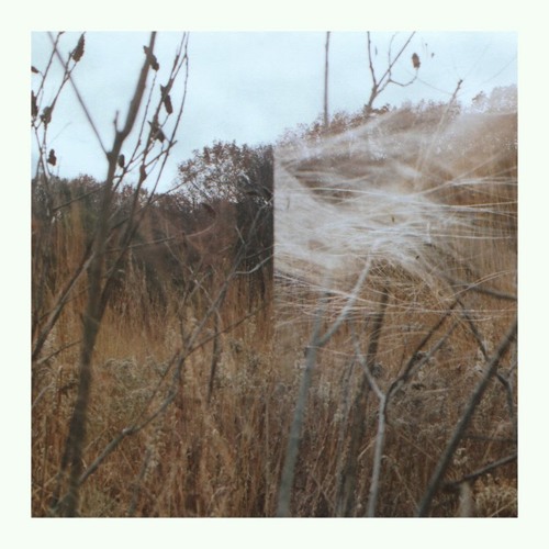 Benoît Honoré Pioulard - Calder