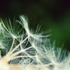 Flanx Goli wach kat7es