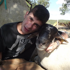 THE SHEEP DOLLY DISCO ! TECHNO 140 BPM