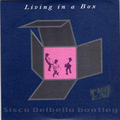 Livin' in a box ( Sisco Delbello madness bootleg )