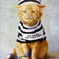 BASS AFFIRMATION Laydee Dee 01.10.11