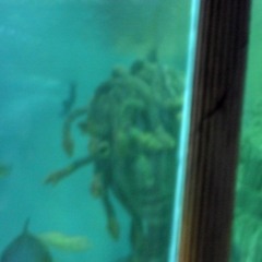 DJ Inbetwen - Dubside (2011)